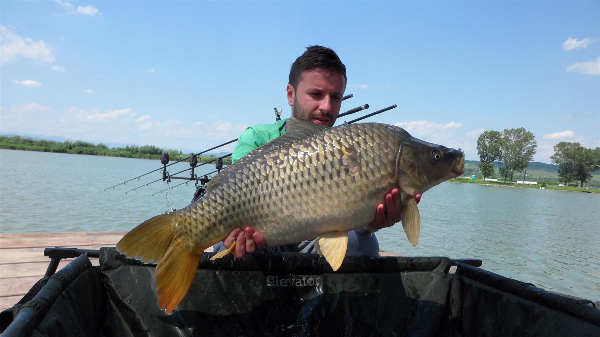 Pleasa1 23 iunie 2014 - sam3223.JPG